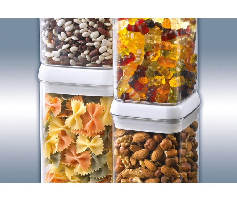 LEIFHEIT Fresh&Easy Food Storage Container 1L